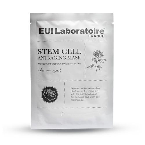 Stem Cell